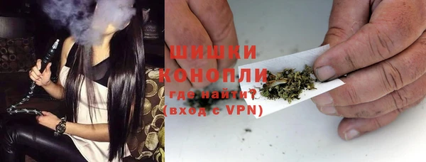 молекула духа Каменск-Шахтинский