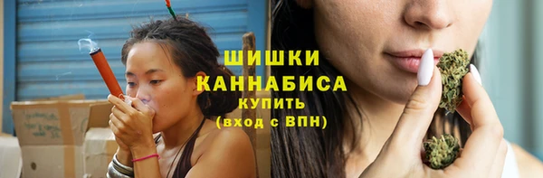 молекула духа Каменск-Шахтинский