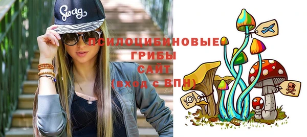 гидропоника Карпинск