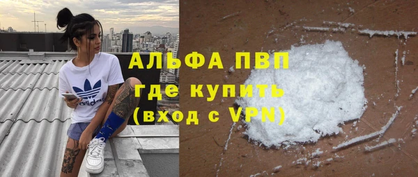 молекула духа Каменск-Шахтинский