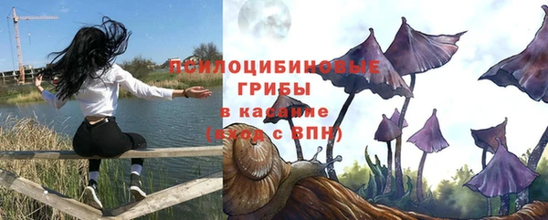 молекула духа Каменск-Шахтинский