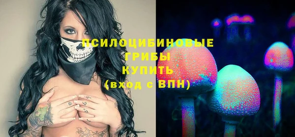 трава Каменногорск