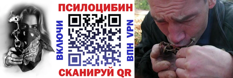 Псилоцибиновые грибы Cubensis  Купить  Пролетарск 